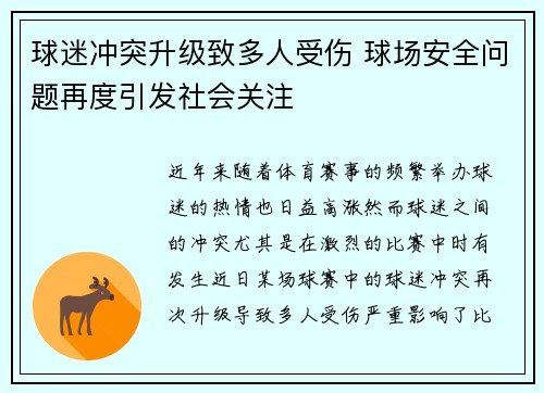 球迷冲突升级致多人受伤 球场安全问题再度引发社会关注