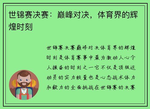 世锦赛决赛：巅峰对决，体育界的辉煌时刻