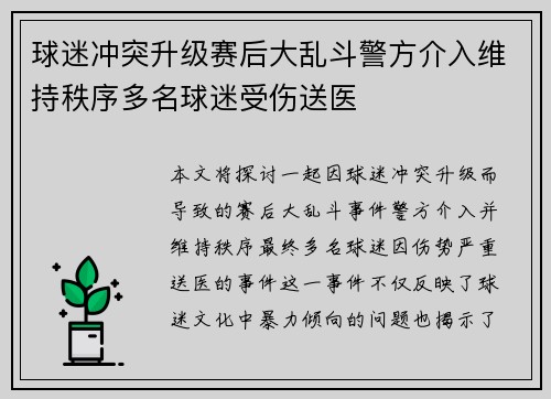 球迷冲突升级赛后大乱斗警方介入维持秩序多名球迷受伤送医